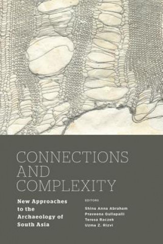 Kniha Connections and Complexity 