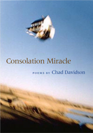 Book Consolation Miracle Davidson