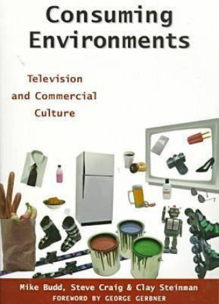 Boek Consuming Environments Steinman