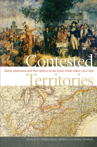 Kniha Contested Territories Charles Beatty-Medina