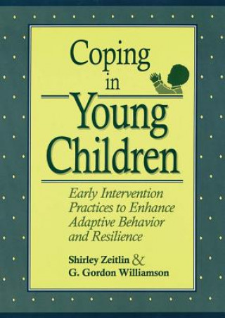 Kniha Coping in Young Children Zeitlin