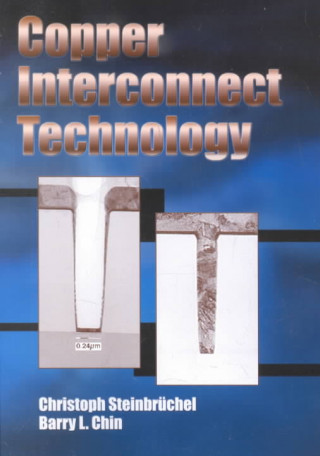 Knjiga Copper Interconnect Technology v. TT46 Barry Chin