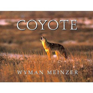 Kniha Coyote Wyman Meinzer