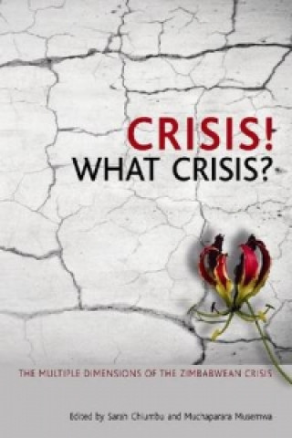 Könyv Crisis! What Crisis? Muchaparara Musemwa