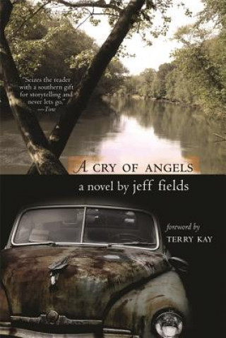 Buch Cry of Angels Jeff Fields