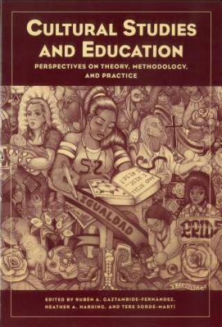 Libro Cultural Studies and Education 