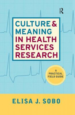 Kniha Culture and Meaning in Health Services Research Elisa J. Sobo