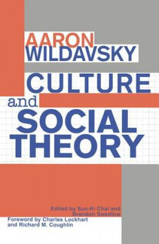 Kniha Culture and Social Theory Aaron Wildavsky