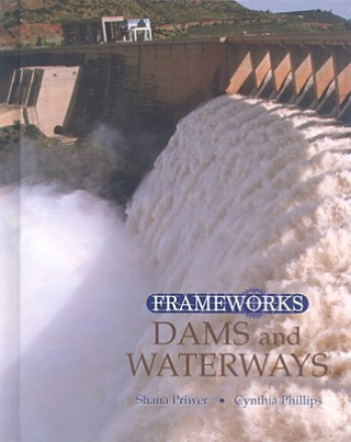 Kniha Dams and Waterways Shana Priwer