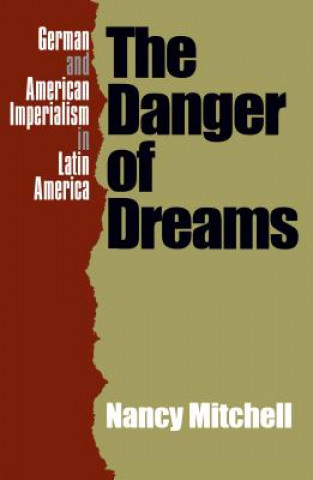 Kniha Danger of Dreams Nancy Mitchell