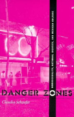 Könyv Danger Zones Claudia Schaefer