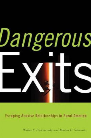 Buch Dangerous Exits Martin D. Schwartz