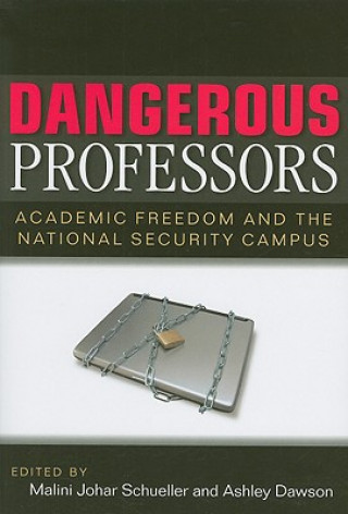 Buch Dangerous Professors Malini Johar Schueller
