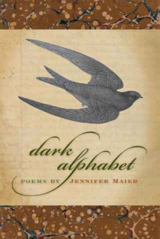 Könyv Dark Alphabet Jennifer Maier