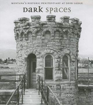 Kniha Dark Spaces Ellen Baumler