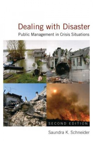 Kniha Dealing with Disaster Saundra K. Schneider