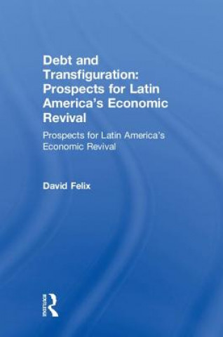 Könyv Debt and Transfiguration David Felix