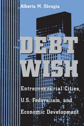 Buch Debt Wish Alberta M. Sbragia