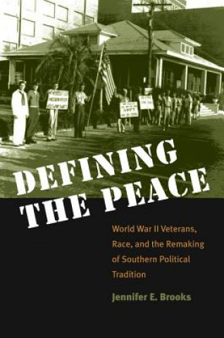 Buch Defining the Peace Jennifer E. Brooks