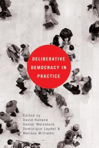 Kniha Deliberative Democracy in Practice Melissa Williams