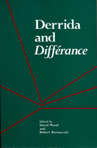 Kniha Derrida and Difference Wood