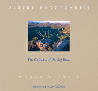 Könyv Desert Sanctuaries David Alloway