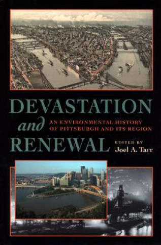 Kniha Devastation and Renewal 