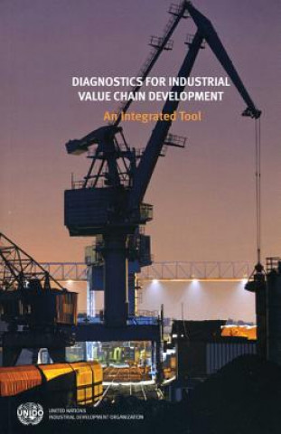 Buch Diagnostics for Industrial Value Chain Development United Nations