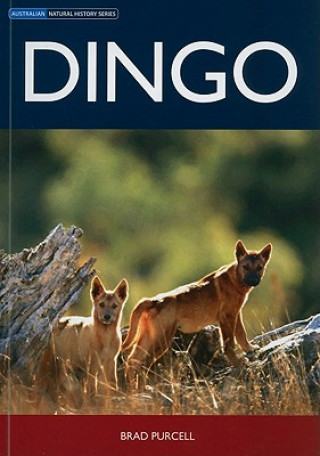 Knjiga Dingo Brad Purcell