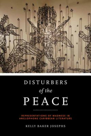 Kniha Disturbers of the Peace Kelly Baker Josephs