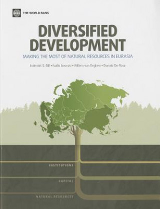 Knjiga Diversified development Donato De Rosa
