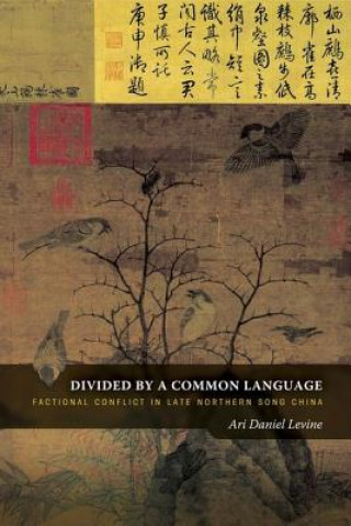 Könyv Divided by a Common Language Ari Daniel Levine
