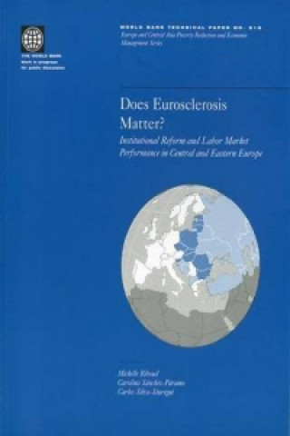Boek Does Eurosclerosis Matter? Michelle Riboud