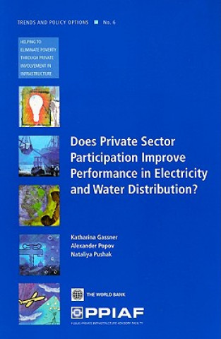 Libro Does Private Sector Participation Improve Performance in Electricity and Water Distribution? Nataliya Pushak