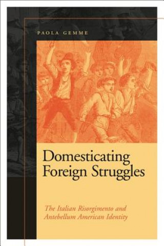 Книга Domesticating Foreign Struggles Paola Gemme