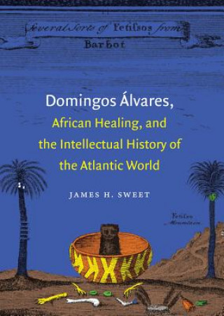 Kniha Domingos Alvares, African Healing, and the Intellectual History of the Atlantic World James H. Sweet