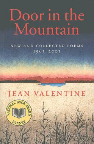 Книга Door in the Mountain Jean Valentine