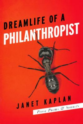 Książka Dreamlife of a Philanthropist Janet Kaplan