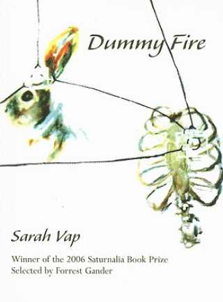 Book Dummy Fire Sarah Vap