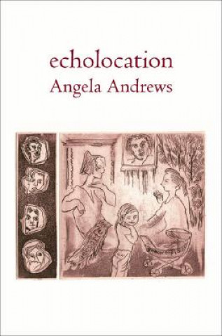 Kniha Echolocation Angela Andrews