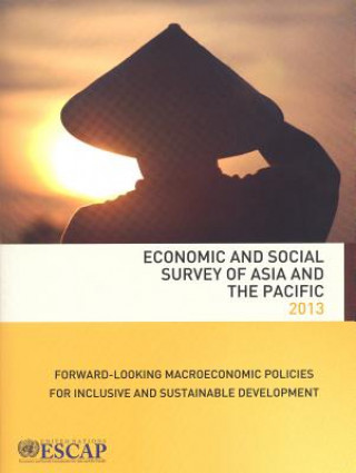 Kniha Economic and social survey of Asia and the Pacific 2013 United Nations: Economic and Social Commission for Asia and the Pacific