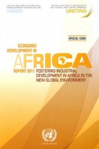 Książka Economic Development in Africa Report United Nations