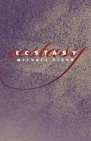 Book Ecstasy Michael Eigen