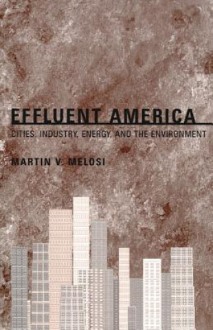 Kniha Effluent America Martin V. Melosi