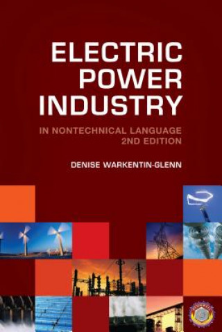 Kniha Electric Power Industry in Nontechnical Language Denise Warkentin-Glenn