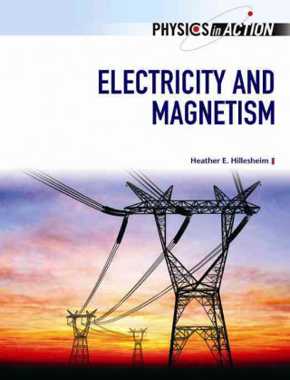 Книга Electricity and Magnetism Heather E. Hillesheim