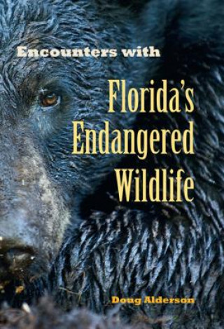 Książka Encounters with Florida's Endangered Wildlife Doug Alderson