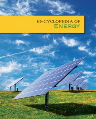 Kniha Encyclopedia of Energy 