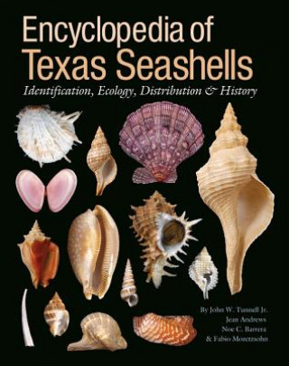 Kniha Encyclopedia of Texas Seashells Fabio Moretzsohn