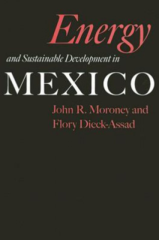 Kniha Energy and Sustainable Development in Mexico Flory Dieck-Assad